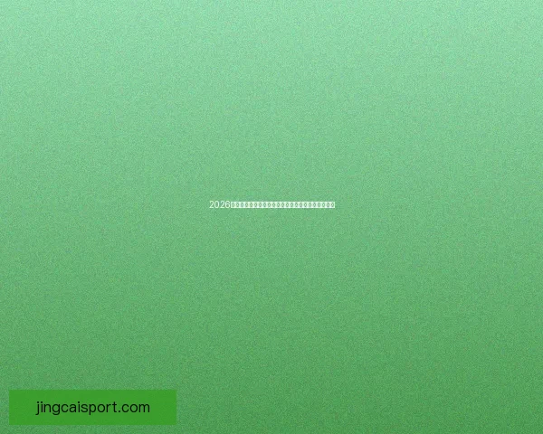 2026世界杯焦点对决全解析球星表现与赛场精彩瞬间盘点